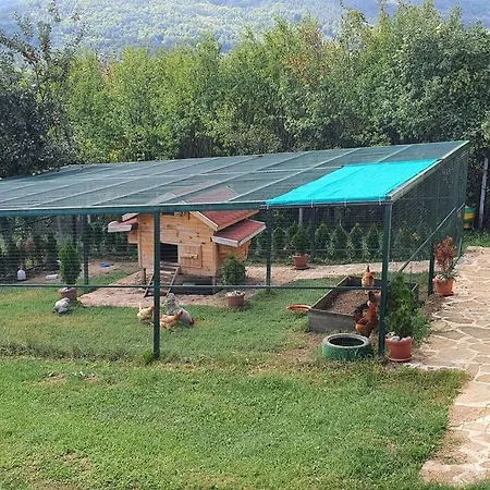 “nadezhda” Vilă