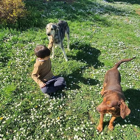 “nadezhda” Willa *