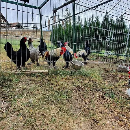 Willa “nadezhda” *